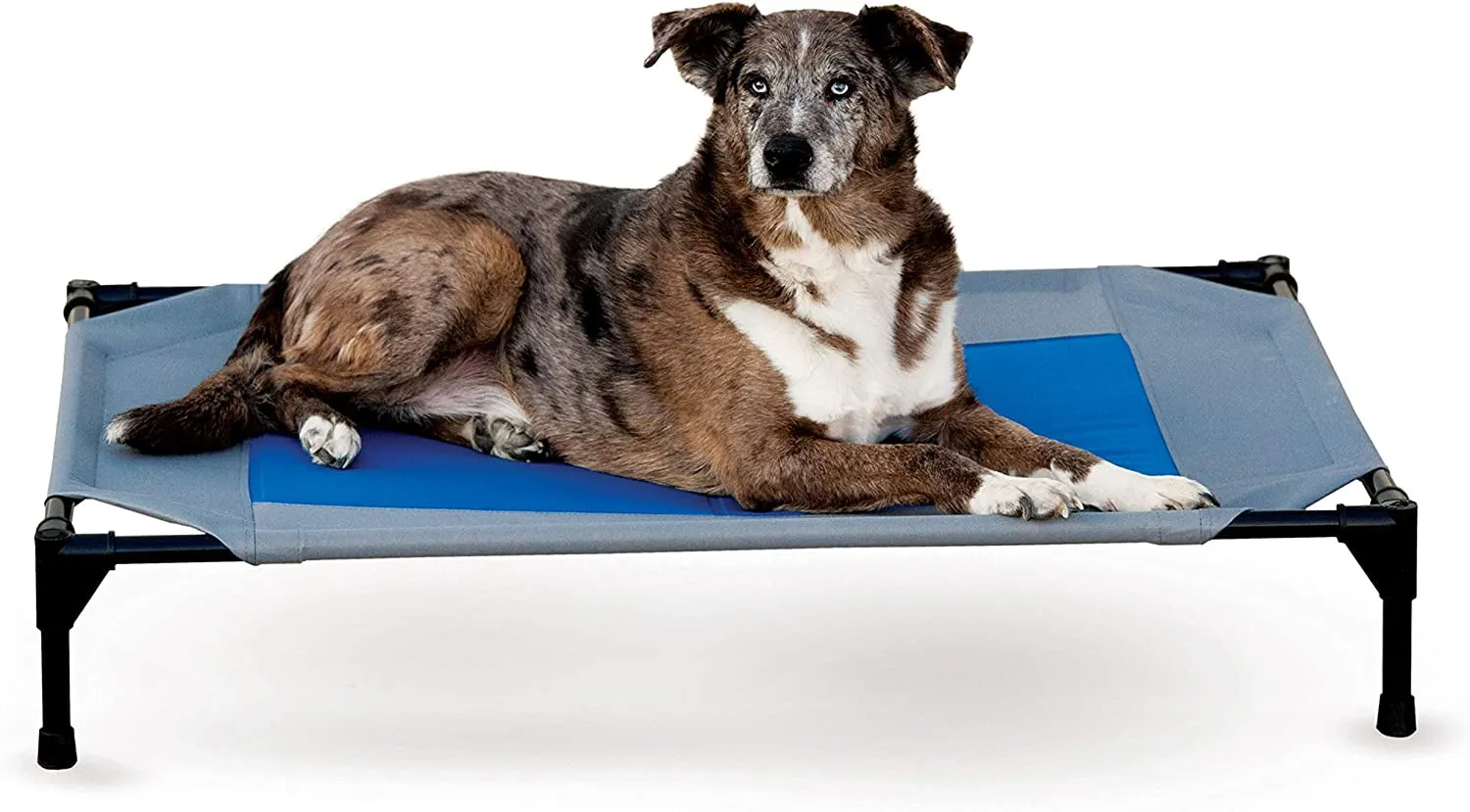 Coolin' Pet Cot, Elevated Dog Cooling Mat, Cool Dog Cot for Large Dogs, Dog Camping Gear, Outdoor Raised Dog Bed with Cooling Center - Gray/Blue, Large 30 X 42 X 7 Inches