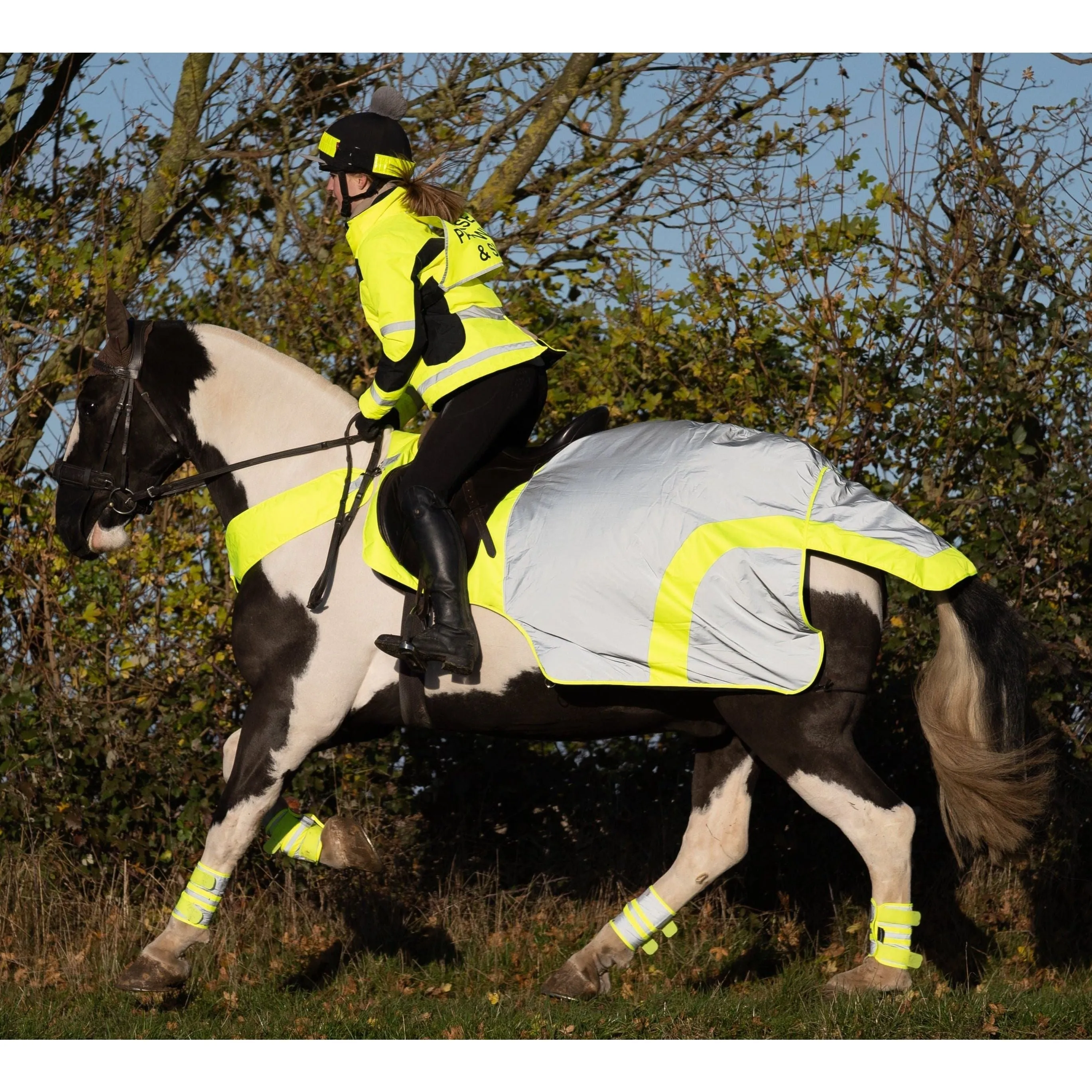 Equisafety Reflective Mercury Horse Exercise Rug - Yellow