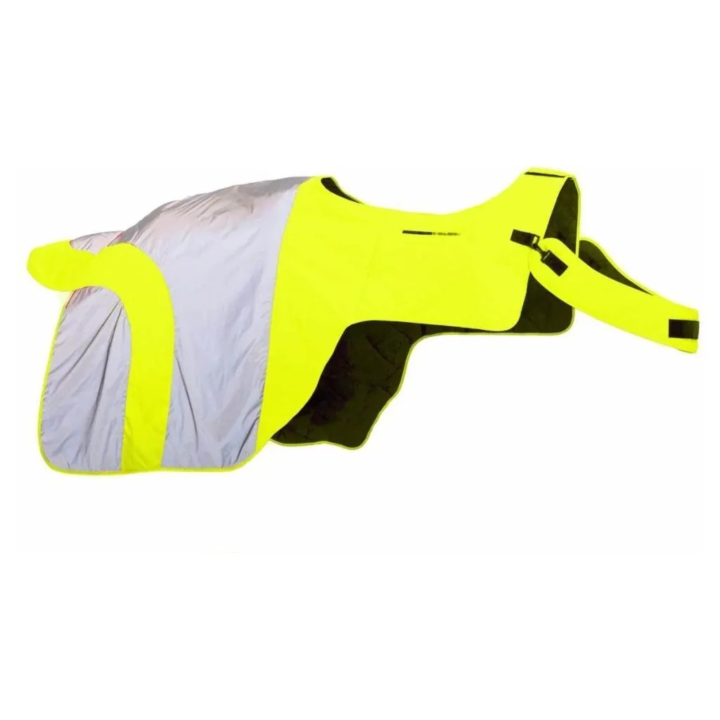 Equisafety Reflective Mercury Horse Exercise Rug - Yellow