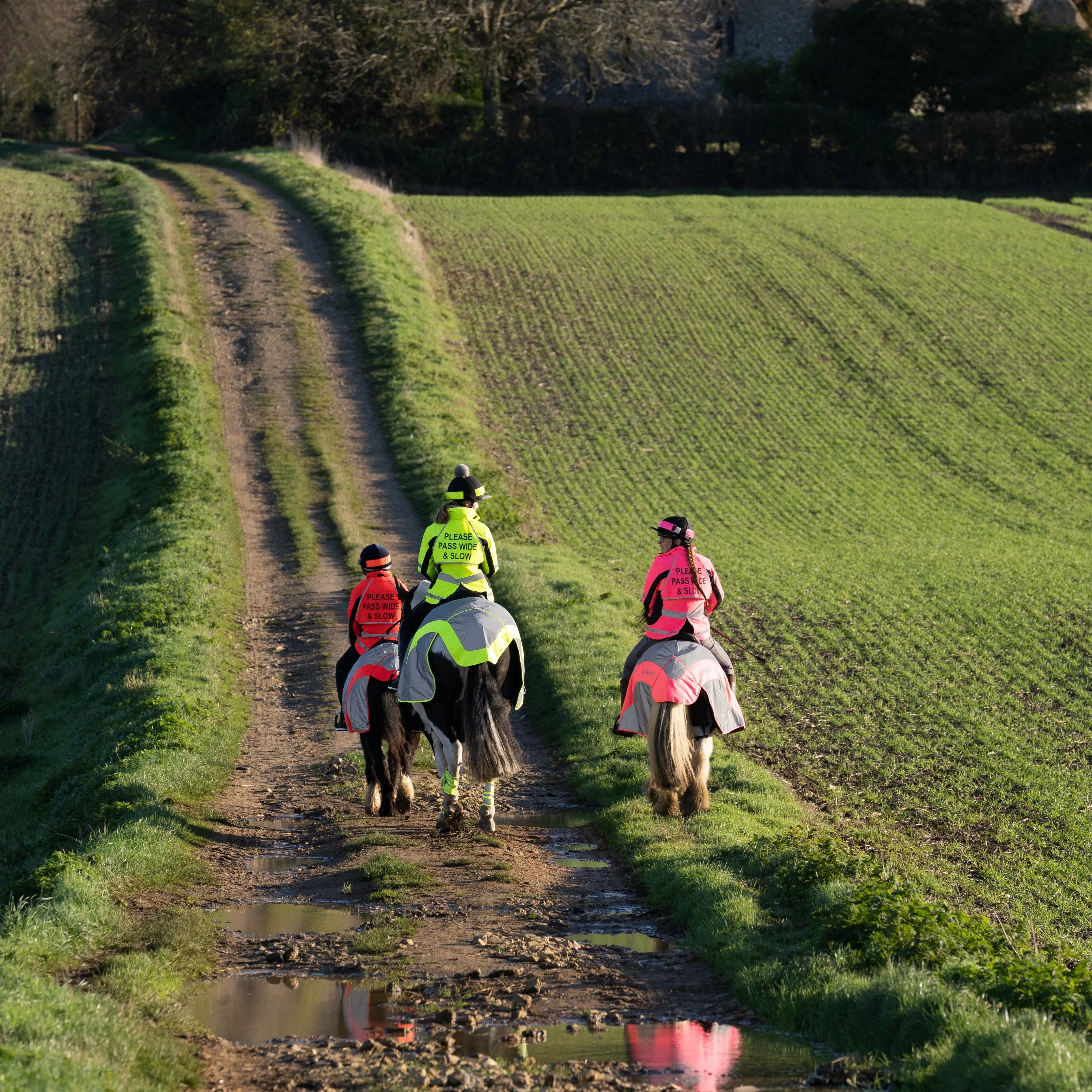 Equisafety Reflective Mercury Horse Hi Viz Exercise Rug in Pink