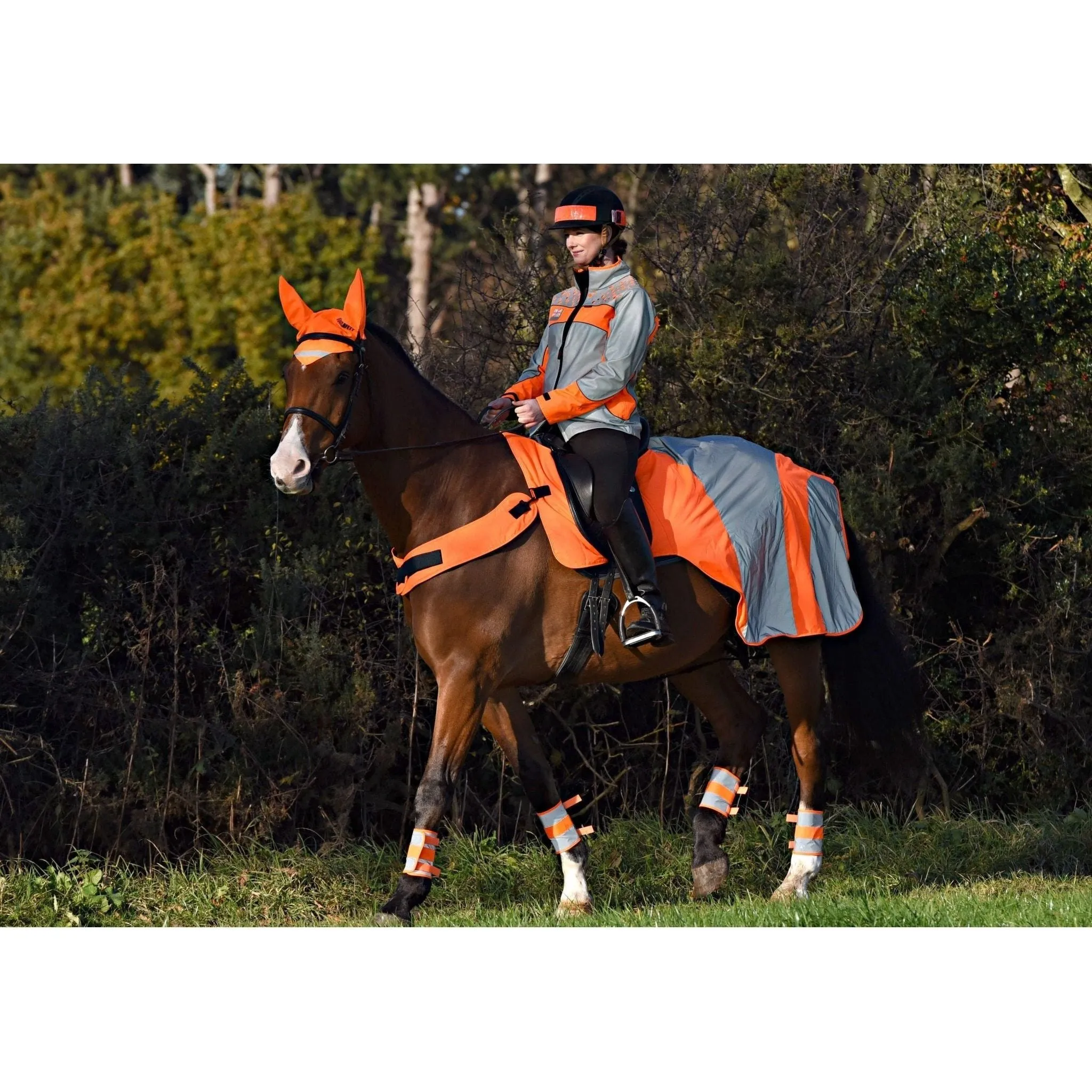 Equisafety Reflective Mercury Horse Hi Viz Exercise Rug - orange