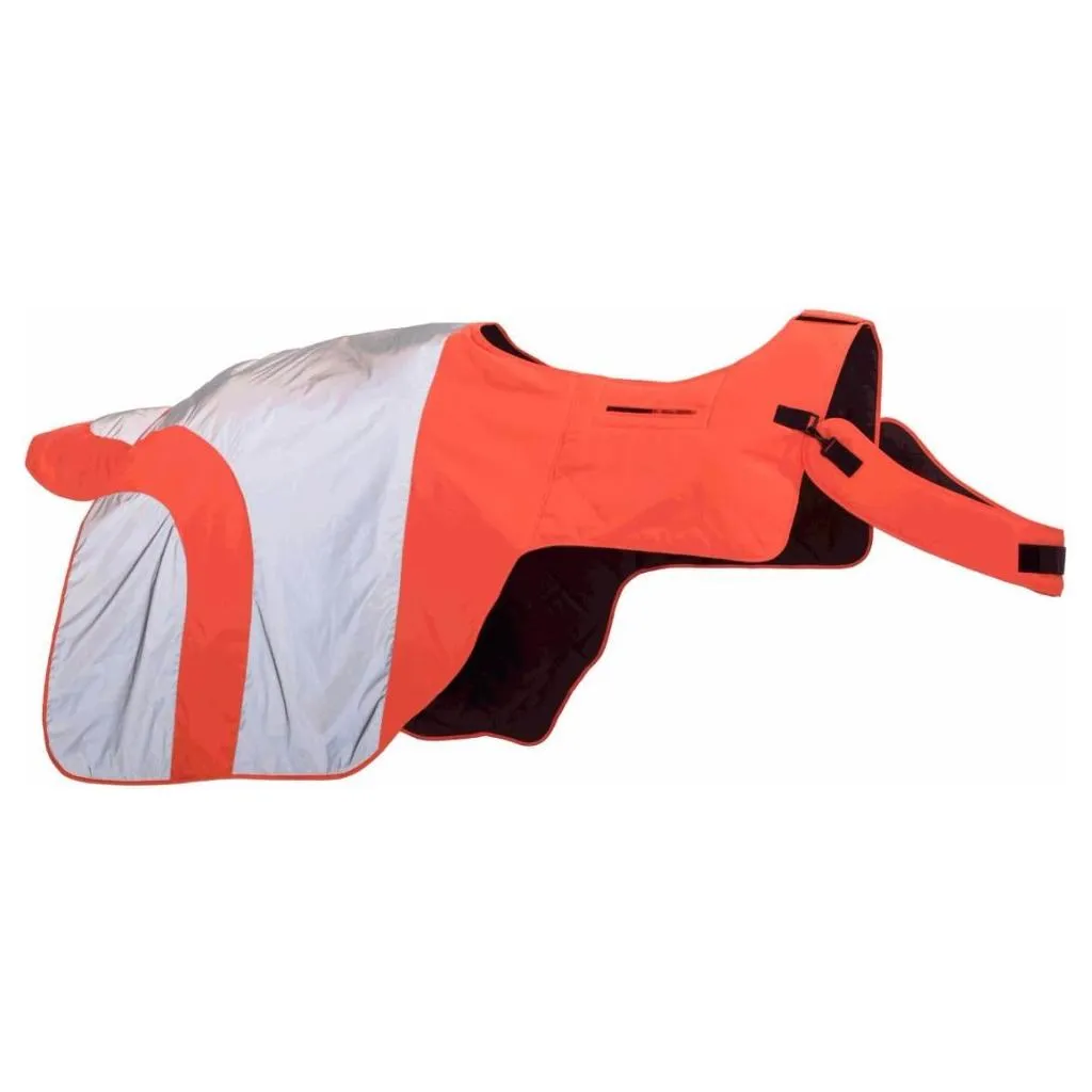 Equisafety Reflective Mercury Horse Hi Viz Exercise Rug - orange