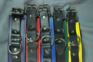 Leather Ankle Restraints