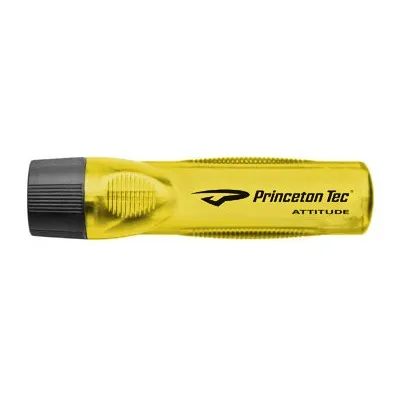 Princeton Tec Attitude Underwater Light