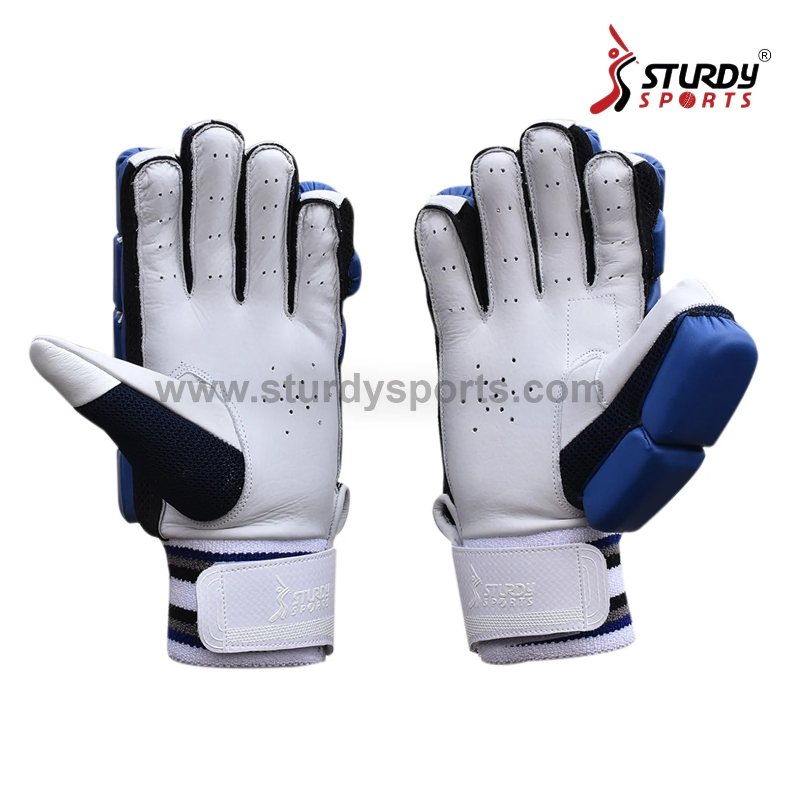 Sturdy Dragon Royal Blue Cricket Batting Gloves - Senior